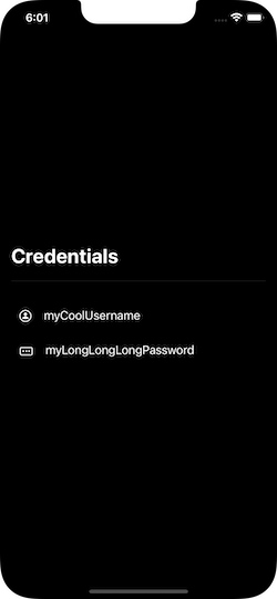 Fake credentials shown as plain text