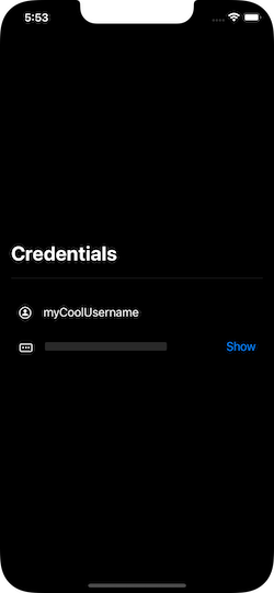 Fake credentials with the password covered with redacted placeholder
